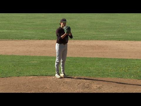 Extended Highlights: Williamston's Brett Palmer strikes out 12 in complete game, Hornets win game on