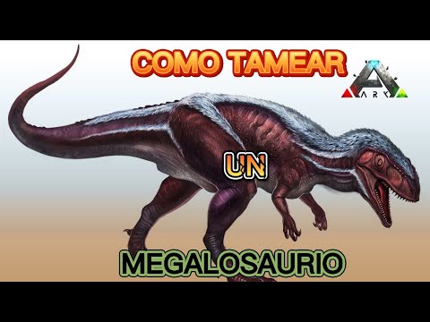 cómo domesticar un megalosaurio en ark Mobile