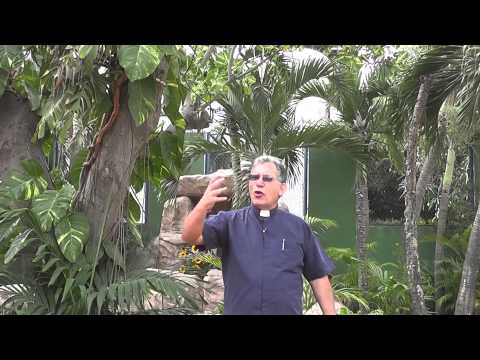 EVANGELIO 23 DE MARZO 2014