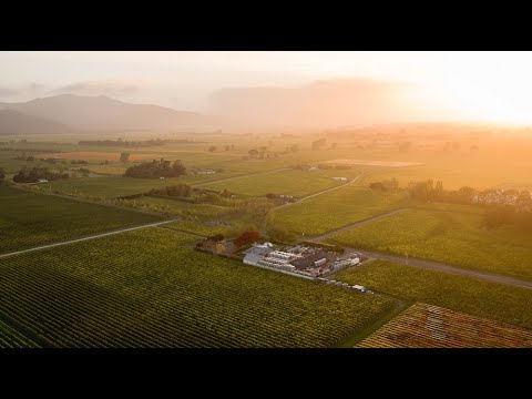 Allan Scott Family Winemakers