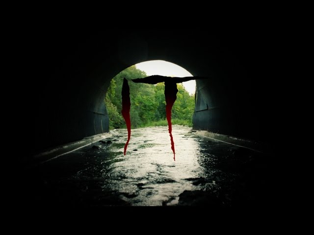 Trailer Coming Tomorrow