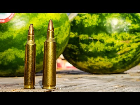 223 vs 22-250 🍉🍉🍉 WATERMELONS!!!