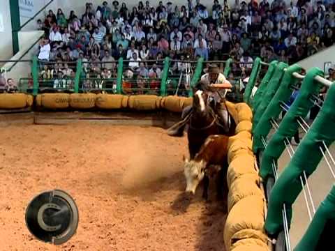 Bocal de Ouro 2015 Parte II