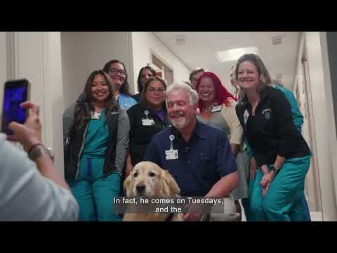 A Day in the Life of a Volunteer and His Dog