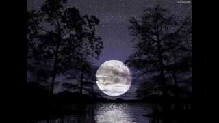 If it aint broke, Don't fix it - Whitey Morgan And The 78s