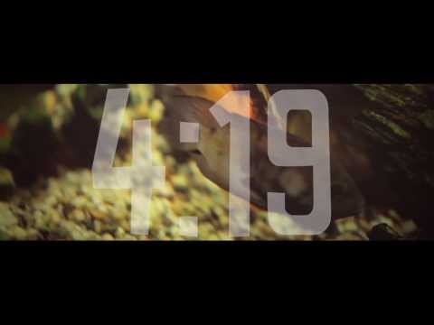 ZIPPER LOUIE - FEAT. LIL RAIDER & FILTHY FILL  4:19 - MUSIC VIDEO - RAPBAY.COM