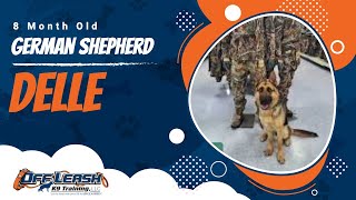 Download Lagu Delle | 8 Months Old GSD | German Shepherd Training Atlanta Thumbnail