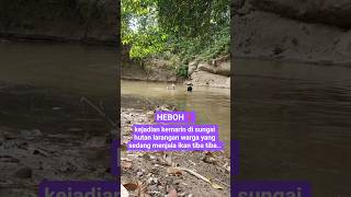 Download lagu kejadian kemarin di sungai hutan larangan warga yang sedang menjala ikan tiba tiba #shortsviral mp3 Download lagu kejadian kemarin di sungai hutan larangan warga yang sedang menjala ikan tiba tiba #shortsviral mp3