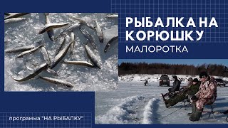Как ловят корюшку в де кастри