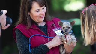 International Rescue: 50 Lives Saved!