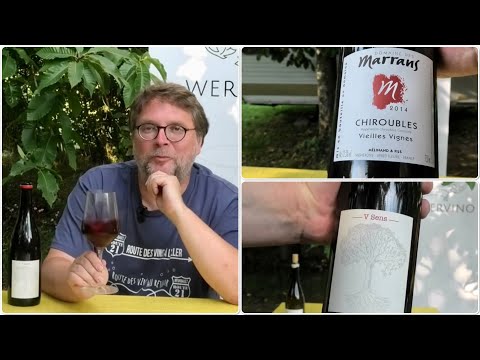 Folge 957 Weinspontis - 5sinniger Muscadet und Alte Reben aus dem Beaujolais