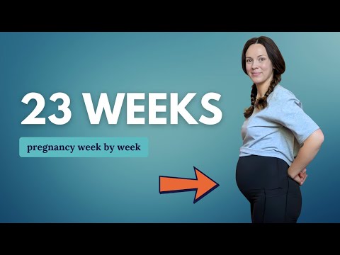 23 Weeks Pregnant 🤰 What to Expect: Changes for You & Baby Development
