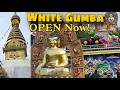 White Gumba White Monastery Swayambhu Buddhist Monastery Kathmandu Travel Diaries