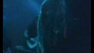 Shadows Fall - Thoughts without words