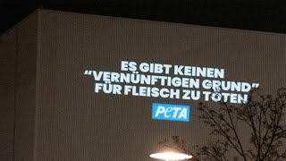 Unsere Botschaft an Schlachtbetriebe: Es gibt keinen vernünftigen Grund, für Fleisch zu töten.