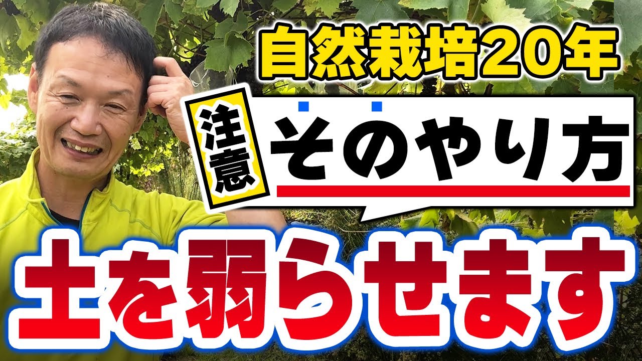 野菜が育たない原因と土を再生する耕起法