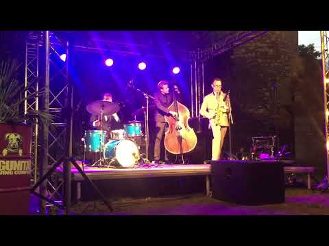 Benjamin Herman trio live at Borrelnoten Maastricht