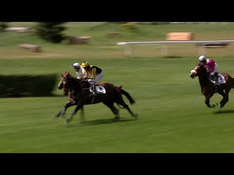 1. dostih - Cena za podpory RECOLOR - dostihy Pardubice 8. 6. 2019