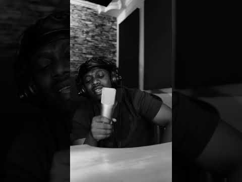 Rayvanny - Bye bye Raila Odinga (Song Verse Clip) 