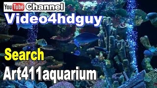 Roku How To Video make Aquarium or Fireplace with Free YouTube Videos | art411adv™