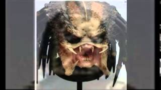 THIS IS YAHU | Occultscience101