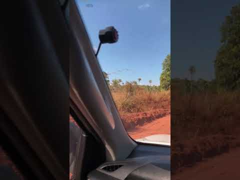 Cachoeirinha Tocantins,,saindo pra fazenda caracol #fazenda #tapetecaipira