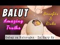 BALUT (Fertilized Duck Egg): Nutritional Facts & Risks - Dr. Gary Sy