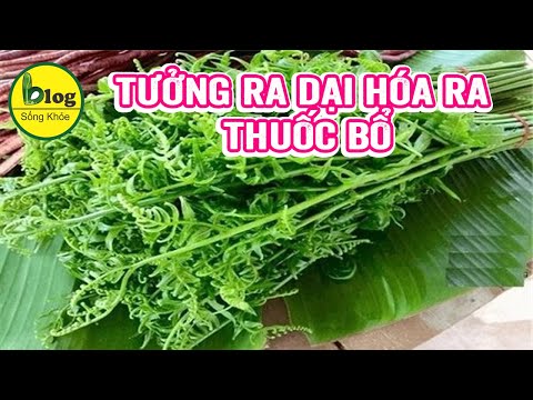 Rau dớn có tác dụng chữa bệnh