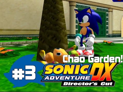 Sonic Adventure DX %100 Walkthrough - Chao Garden - Part 3