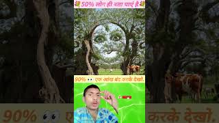 QNEclose your eyes 79% jsi ma durge ji⛳💐🌺comment down #god #jaishreeram #70s #dangorlidham #song #1k