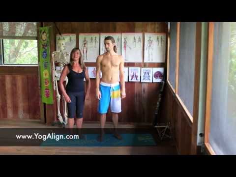download lagu mp3 mp4 Yogalign, download lagu Yogalign gratis, unduh video klip Yogalign