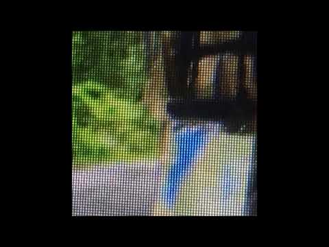 113. Vegard - Snartve [01.02.2018]