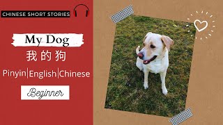 Super Slow Chinese Short Story 2021 (Plus Chinese Vocabularies List and Chinese Grammar Explanation)