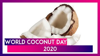 World Coconut Day 2020: Here Are Five Reasons to Have This Fruit - Download this Video in MP3, M4A, WEBM, MP4, 3GP