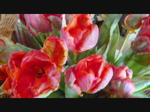 Gawan Bayi - Ita Suwardi