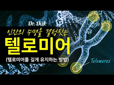 텔로미어에 대해서: 어떻게 하면 건강하게 오래 살 수 있을까? (명상 효과)