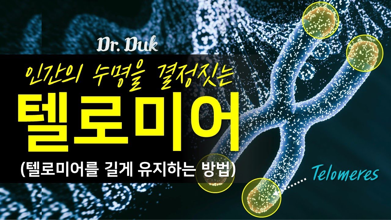 텔로미어에 대해서: 어떻게 하면 건강하게 오래 살 수 있을까? (명상 효과)