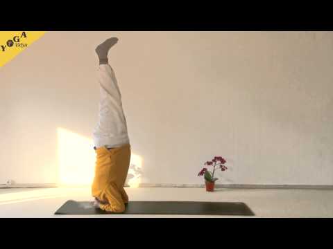 Kopfstand Schritt für Schritt