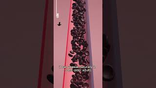 How Does Your Blood Flow