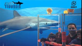 DIA 3 Expo Tiburon148