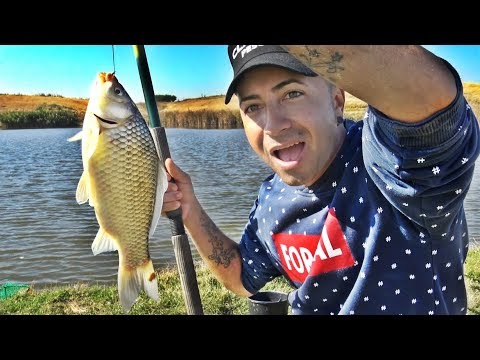 FISHING FOR LARGE GOLDFISH WITH TTX AND MAMALIGA A VERY GOOD GAME