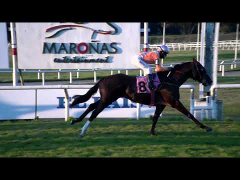 210731 c07 TRUE GRIT (BRZ)