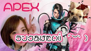 🟡『PS5版』APEX #10  火曜日の練習