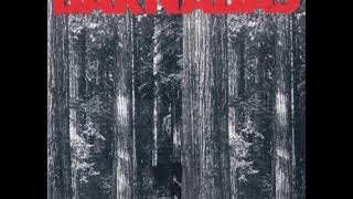 Barnabas – Little Foxes