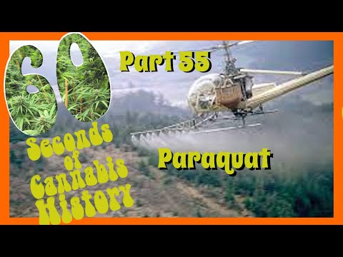 60 Seconds of Cannabis History: Part 55 - Paraquat