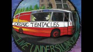 Ozric Tentacles - Erpsong