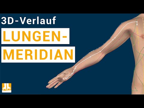 Der Lungenmeridian - 3D-Verlauf von Punkt zu Punkt