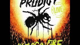 Prodigy - Colours - Worlds on Fire Festival Live 2011 audio