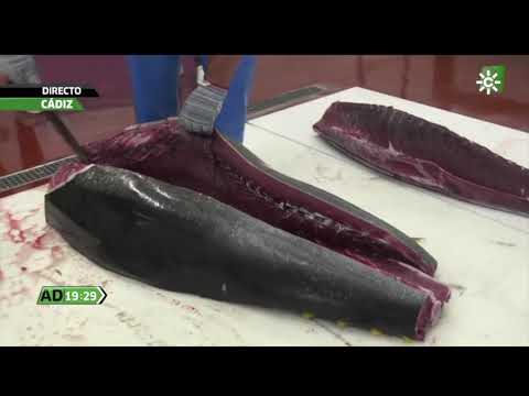 El ronqueo, el espectacular arte de despiezar el atún