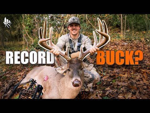 “The Rut”- Story of a Suburban Record Book Whitetail